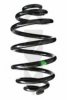 SPIDAN 86341 Coil Spring